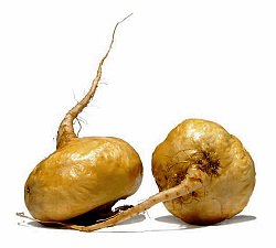 Maca caje.live